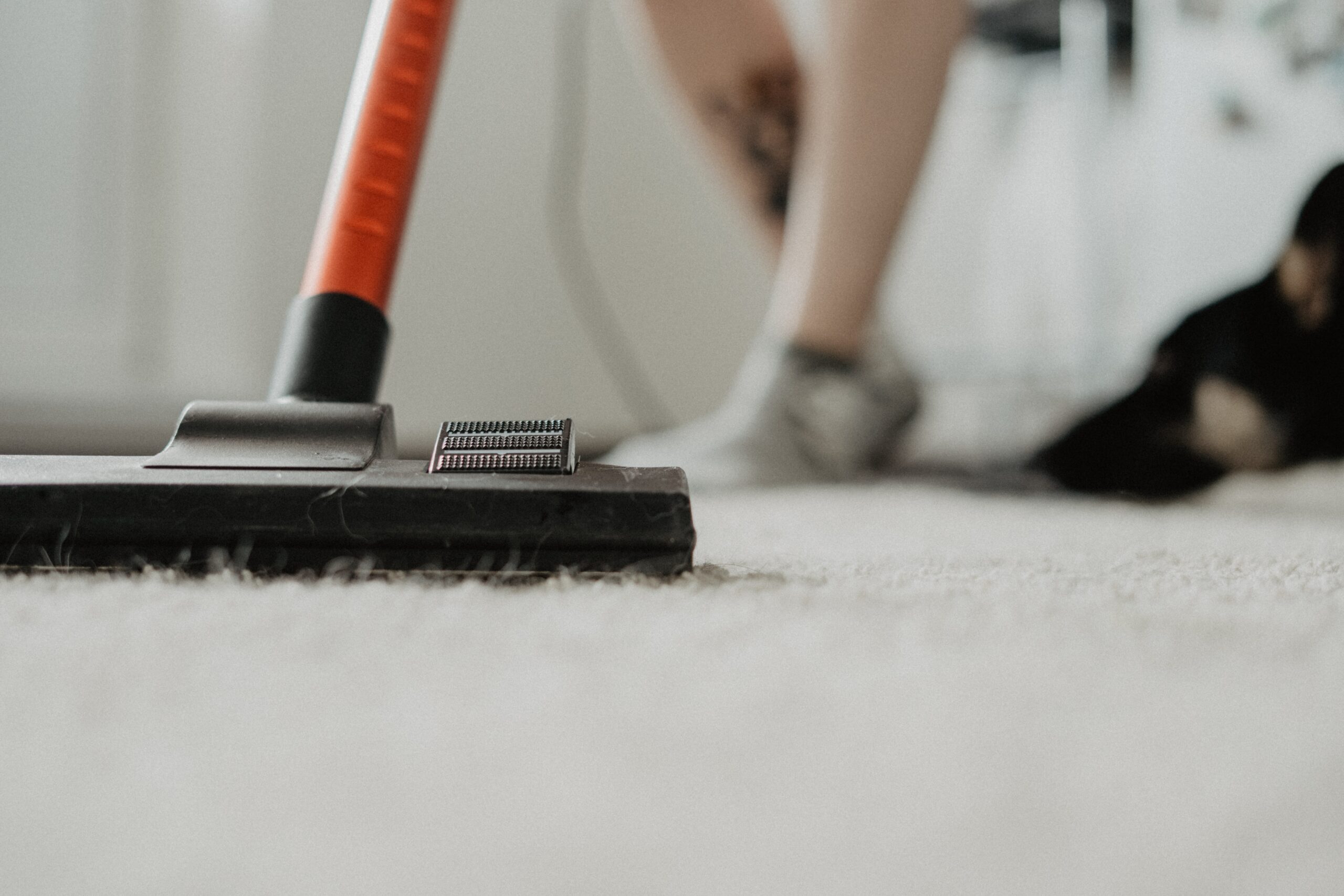 Top-tier carpet cleaning in Frisco, TX - Express Carpet Cleaning